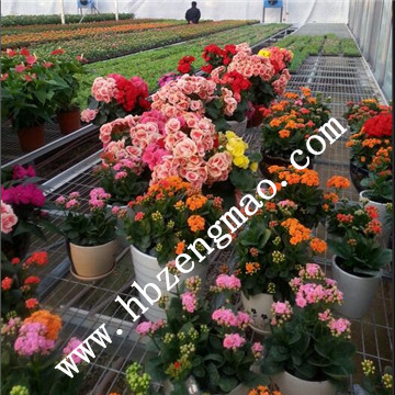 <a href='/' target='_blank'>移動(dòng)苗床</a> <a href='/' target='_blank'>移動(dòng)苗床</a>