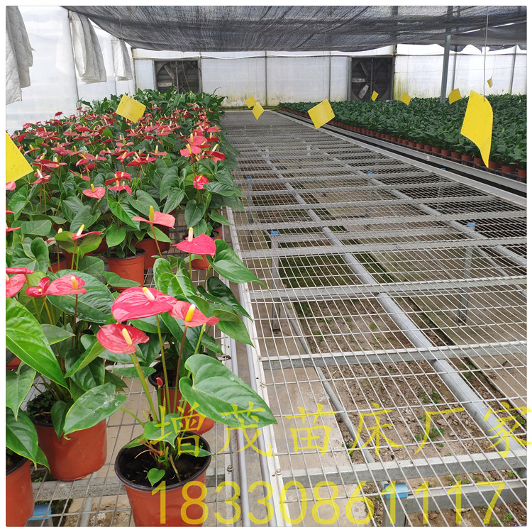 1559028097258368.jpg IMG_20190508_171209.jpg