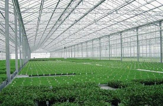 1568790030342398.jpg 360截圖20190819182744946.jpg