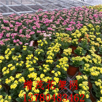 <a href='/' target='_blank'><a href='/' target='_blank'>溫室苗床</a>網(wǎng)</a> <a href='/' target='_blank'><a href='/' target='_blank'>溫室苗床</a>網(wǎng)</a>